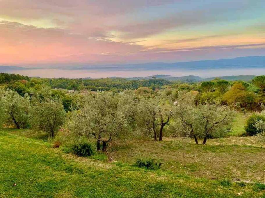 Città della Pieve Vesper - Casale Con Piscina - Ad Galli Cantum מראה חיצוני תמונה