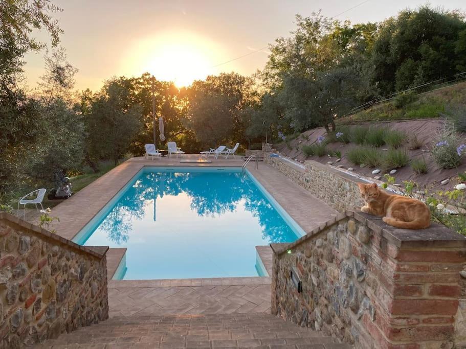 Città della Pieve Vesper - Casale Con Piscina - Ad Galli Cantum מראה חיצוני תמונה