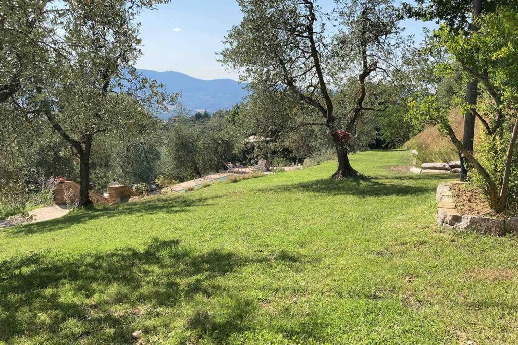 Città della Pieve Vesper - Casale Con Piscina - Ad Galli Cantum מראה חיצוני תמונה