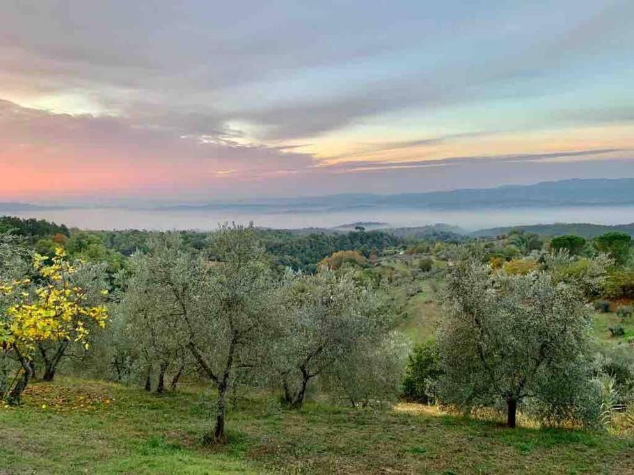 Città della Pieve Vesper - Casale Con Piscina - Ad Galli Cantum מראה חיצוני תמונה