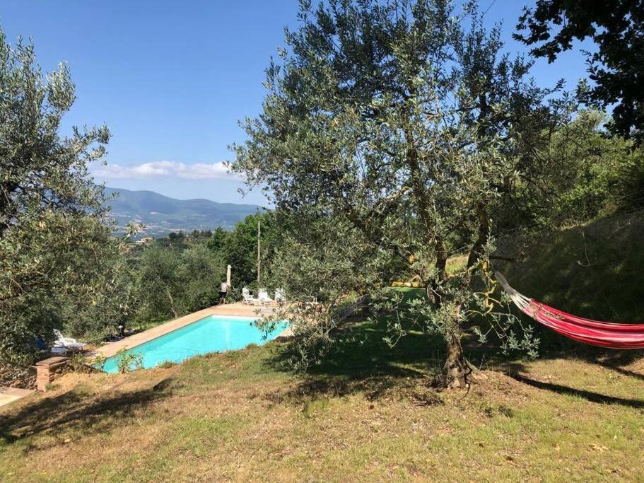 Città della Pieve Vesper - Casale Con Piscina - Ad Galli Cantum מראה חיצוני תמונה